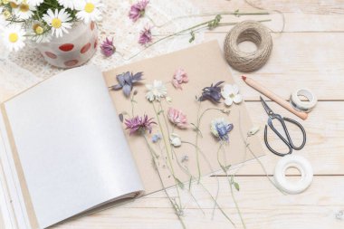 Bitki üretme süreci. Bitki yetiştirmek için kurutulmuş bitkiler ve kurutulmuş çiçekler.