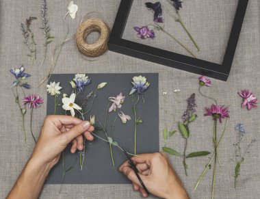 Bitki yetiştiren kız. Bitki yetiştirmek için kurutulmuş bitkiler ve kurutulmuş çiçekler.