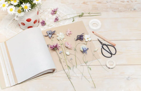 Bitki üretme süreci. Bitki yetiştirmek için kurutulmuş bitkiler ve kurutulmuş çiçekler.