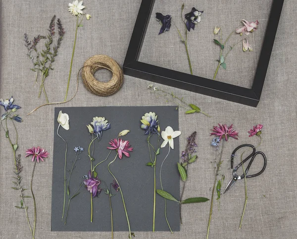 Bitki yetiştiren kız. Bitki yetiştirmek için kurutulmuş bitkiler ve kurutulmuş çiçekler.