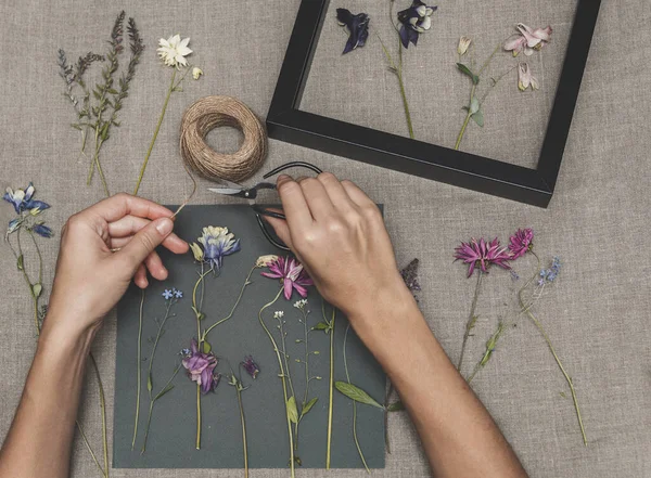 Děvče Vyrábějící Herbář Sušené Byliny Sušené Květiny Výrobu Herbáře — Stock fotografie