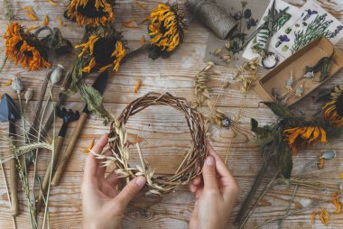 Yulaf dikenli çelenk yapan kız. Bitki yetiştirmek için kurutulmuş bitkiler ve kurutulmuş çiçekler.