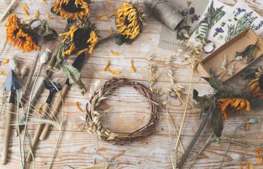 Yulaf dikenli çelenk yapan kız. Bitki yetiştirmek için kurutulmuş bitkiler ve kurutulmuş çiçekler.