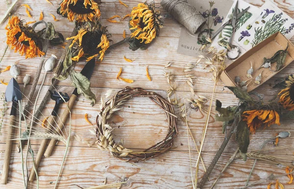 Yulaf dikenli çelenk yapan kız. Bitki yetiştirmek için kurutulmuş bitkiler ve kurutulmuş çiçekler.