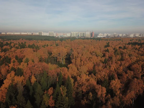 Drone Panorama Moscow City — Stock Photo, Image