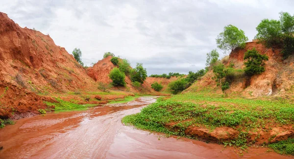 Vietnam MUI Ne yakınındaki kıyısında Yeşil yonca ile kırmızı bir kanyon aşağı koşma akışı