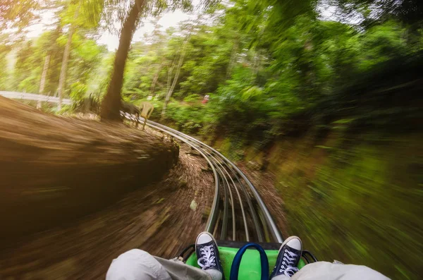 Ormanlarda bir rollercoaster sepeti kişini ilk kişi görünümü. Bulanık hareket