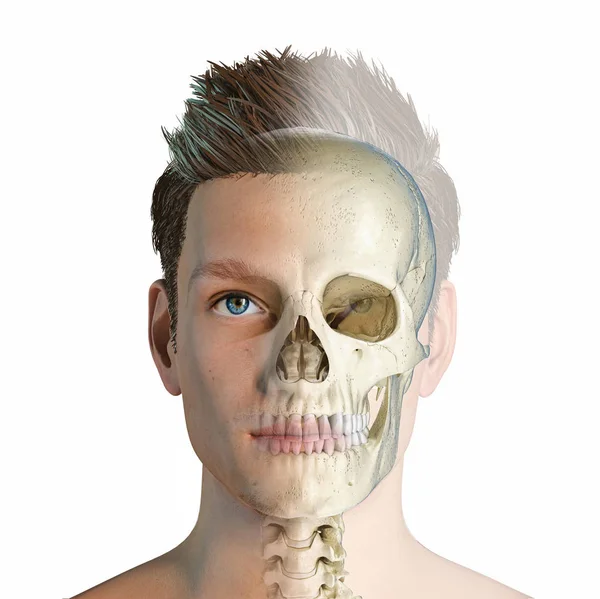 ゴーストの影響で頭蓋骨を持つ男の頭. — ストック写真