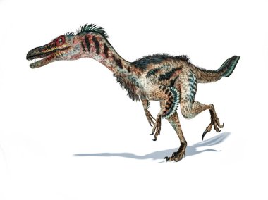 Velociraptor dinosaur with feathers 3d rendering. clipart