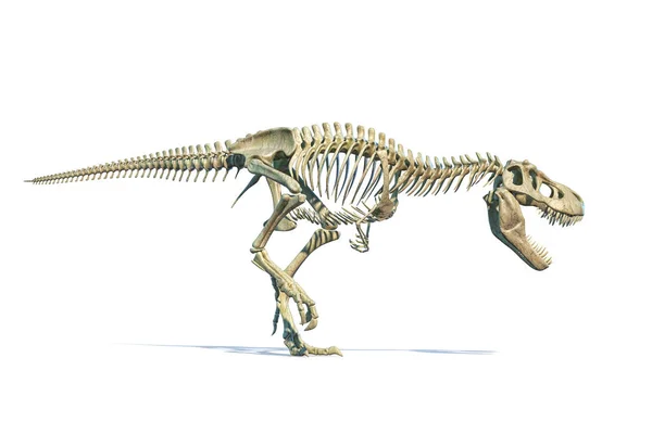 Tyrannosaurus Rex dinosaurio fotorrealista 3d representación de s completo — Foto de Stock