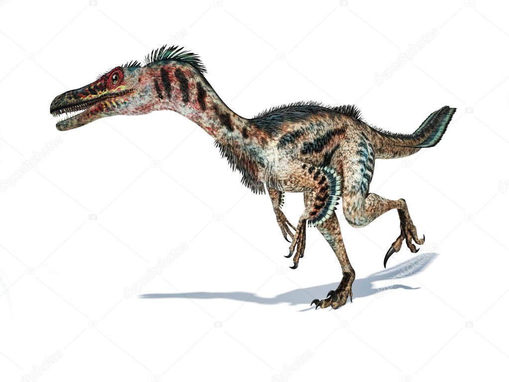 Velociraptor dinosaur with feathers 3d rendering.