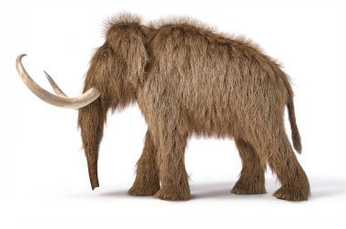 Yünlü mamut gerçekçi 3d illüstrasyon bir taraftan görüntülenen.