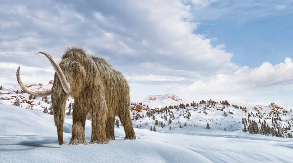 毛茸茸的长毛象场景，在雪的环境中。现实 3d illu — 图库照片