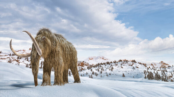 Woolly mammoth scene in environment with snow. realistic 3d illu