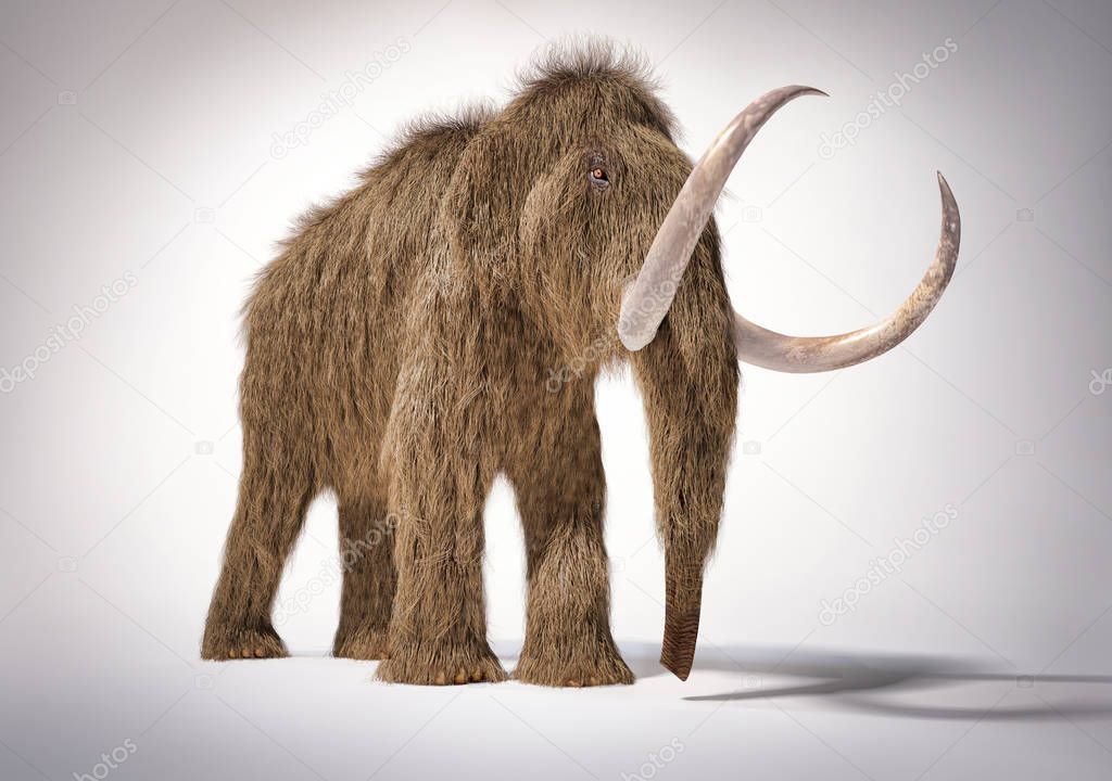 Woolly mammoth realistic 3d illustration. Front perspective view