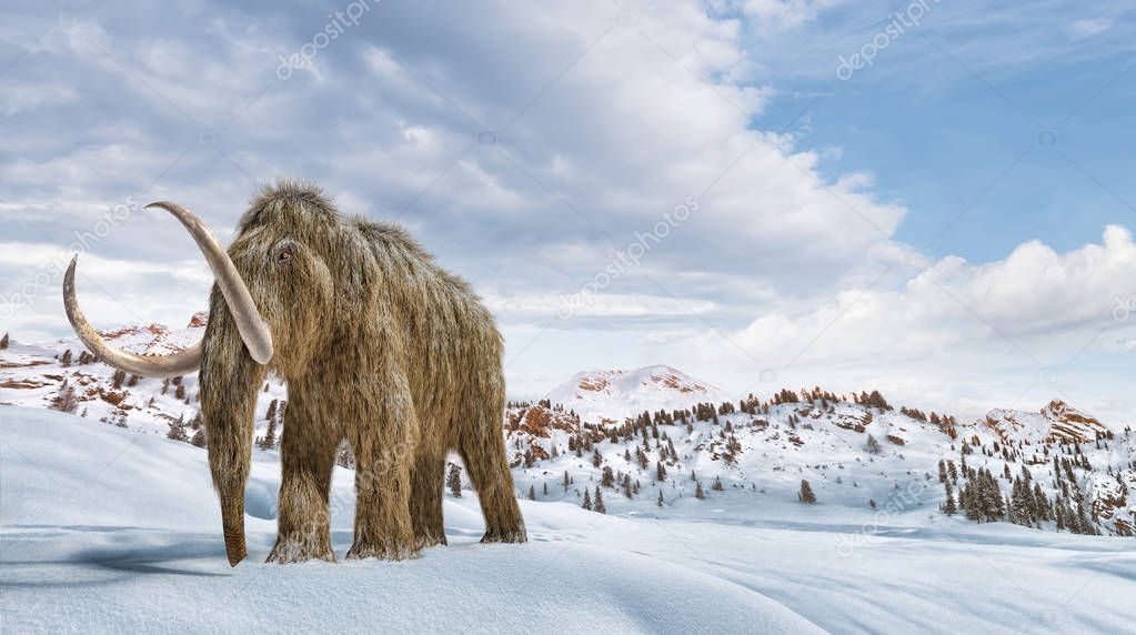 Woolly mammoth scene in environment with snow. realistic 3d illu