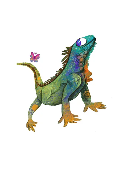 Bright Chameleon Lizard Amphibian Animals Africa Stylized Illustration Books — 스톡 사진