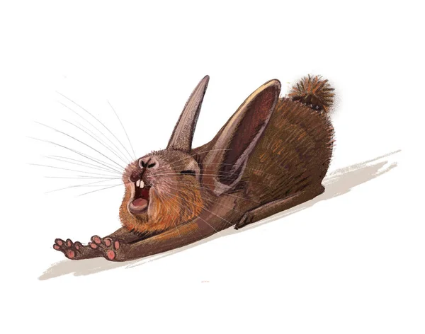 Hare Rabbit Yawns Wants Sleep Cute Animal Illustration Children — Stock fotografie