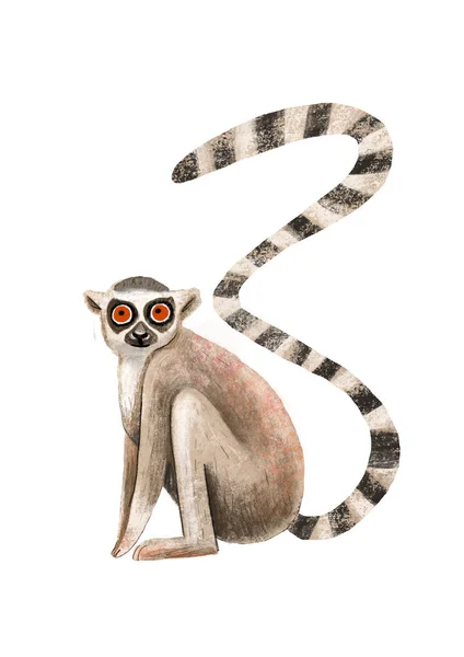 Lemur Illustration Long Tail Animal Its Dignity Wild Animal Lemur — Stock fotografie