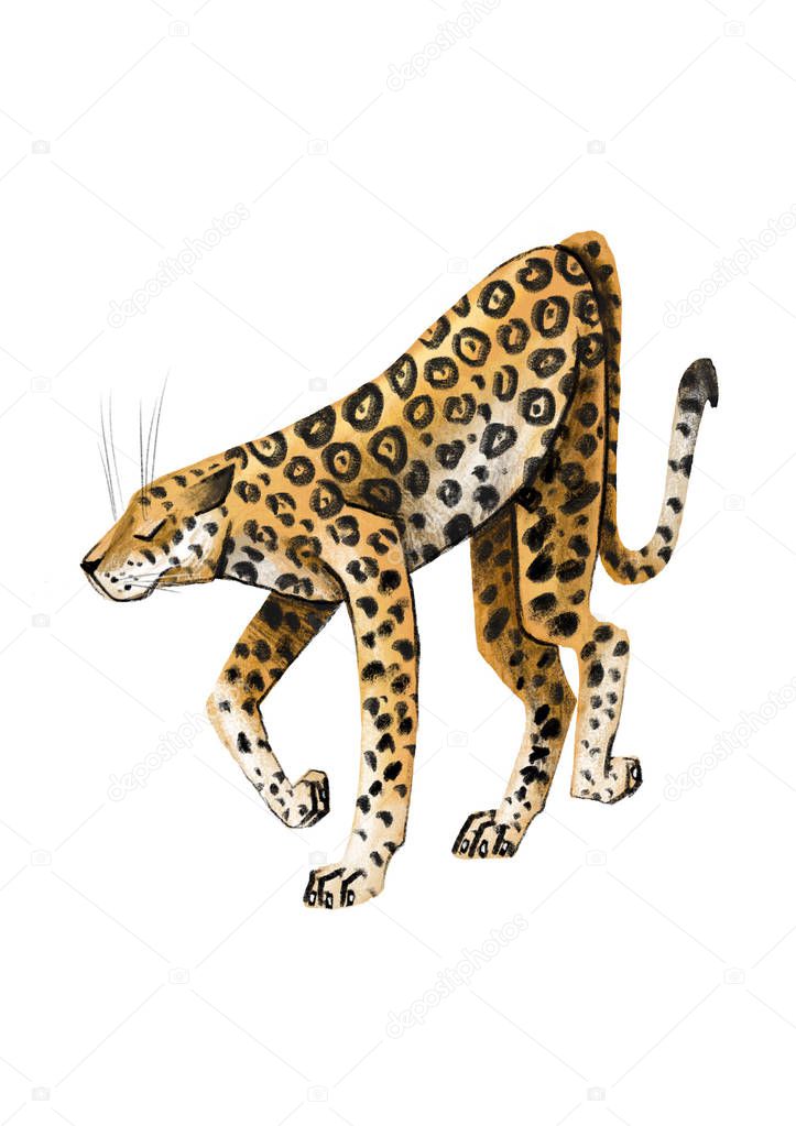 Predatory jaguar, predatory animal, hunter, children's illustration, stylized drawing