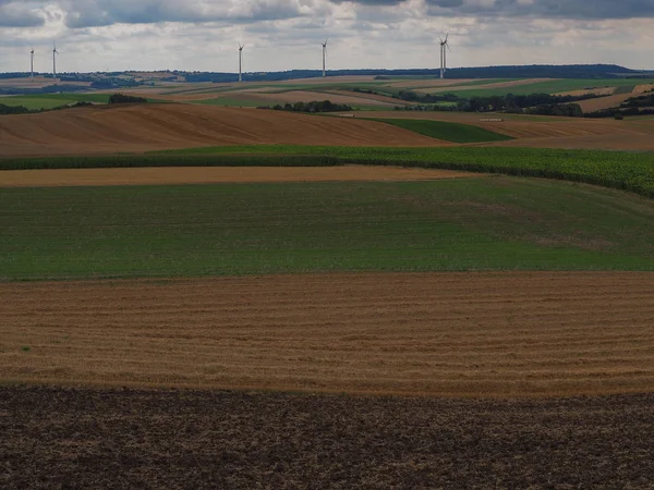 Campi Agricoli Una Giornata Nuvolosa — Foto Stock