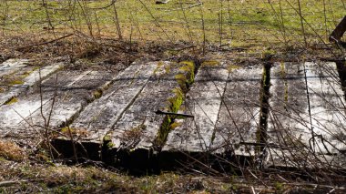 Çayırdaki ahşap kirişlerden yapılmış yol