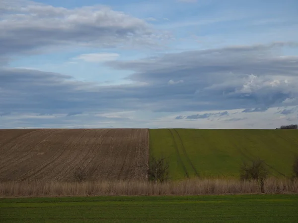 Paesaggio cielo nuvoloso e sagome di alberi — Foto Stock