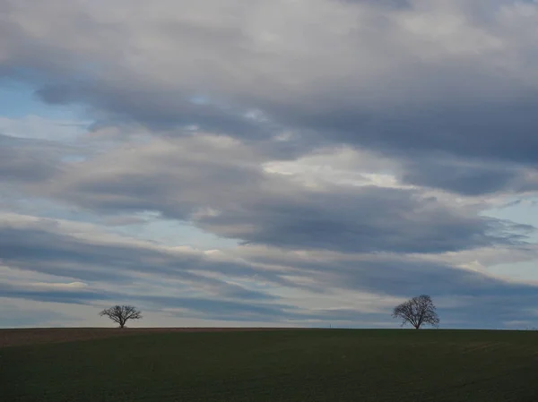 Landschaft bewölkter Himmel und Silhouetten von Bäumen — Stockfoto