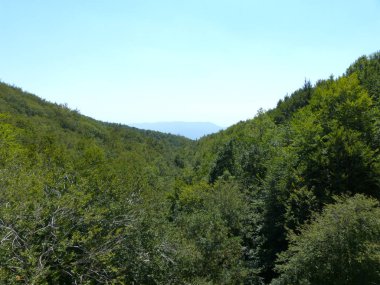 bir vadi dağın tepesine manzaraları.