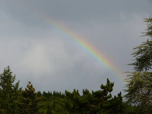 Rainbow after raining on the mountain