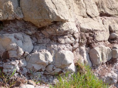 Montseny dağlarda taş closeup
