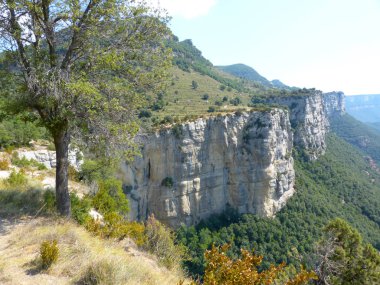 Ağaçlar ve doğa, uçurumlar ve kesim dağlarda