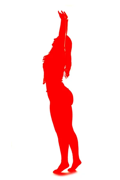 Profile Silhouette Size Model — Stock Photo, Image