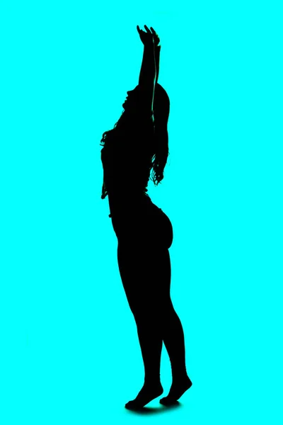 Profile and silhouette of a plus size model