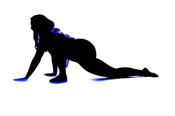 Profile Silhouette Size Model — Stock Photo, Image