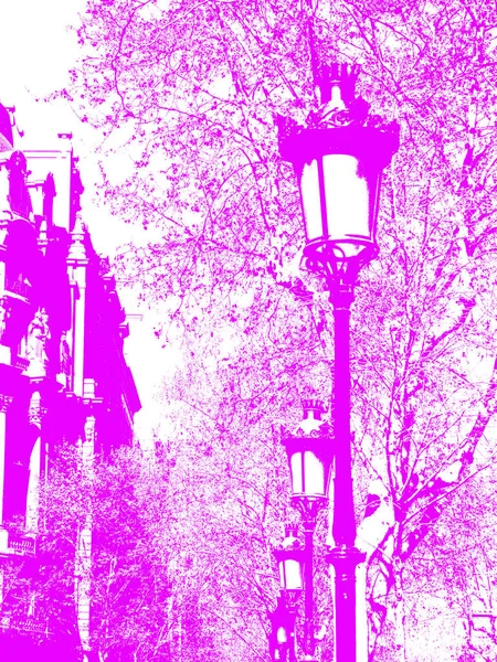 Лампа Вулиці Типові Міста Барселони Вулиці Пасео Граса — стокове фото
