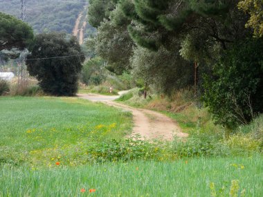 bir alanın etrafından dolaşan ve bizi başka bir hedefe götüren yol