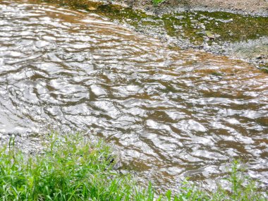 nehir kıyısında bitki örtüsü ile, denize ulaşan nehir