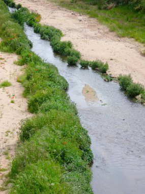 nehir kıyısında bitki örtüsü ile, denize ulaşan nehir