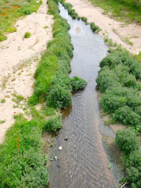 nehir kıyısında bitki örtüsü ile, denize ulaşan nehir