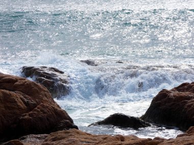 büyük dalgalar kum ve sahil kayalara çarpıyor