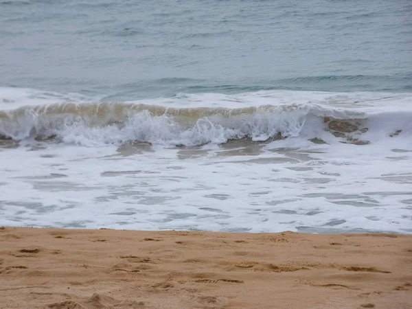 해안의 모래와 바위에 — 스톡 사진