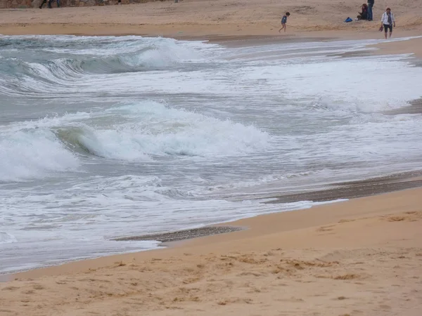 해안의 모래와 바위에 — 스톡 사진