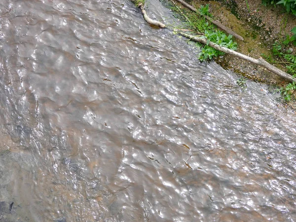 Fiume Che Raggiunge Mare Con Vegetazione Sulla Riva Del Fiume — Foto Stock