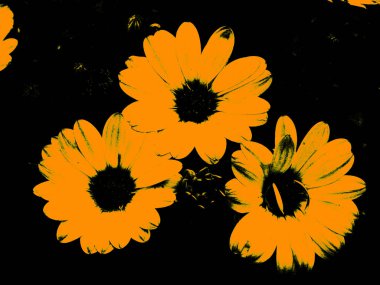 iki tonda yerli çiçekler