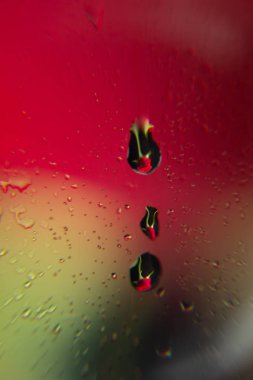 yaprakları su damlalarıyla dolu güzel kırmızı çiçek, su damlalarıyla dolu bir bardağın arkasında.