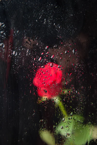 Pretty Red Flower Its Petals Full Water Drops Glass Full — Stock Photo, Image