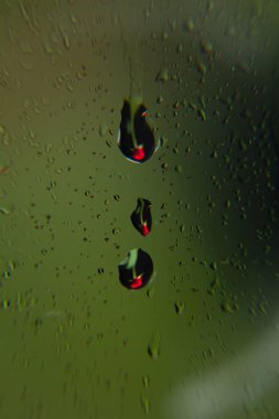 Su damlaları ile Pretty gül