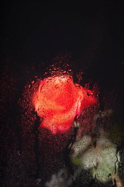 Su damlaları ile Pretty gül