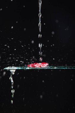 Bir bardağa düşen su